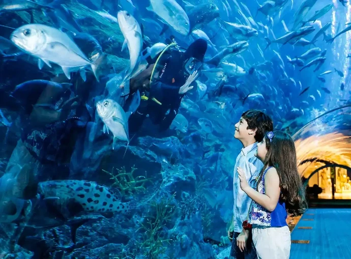 aquarium and zoo dubai